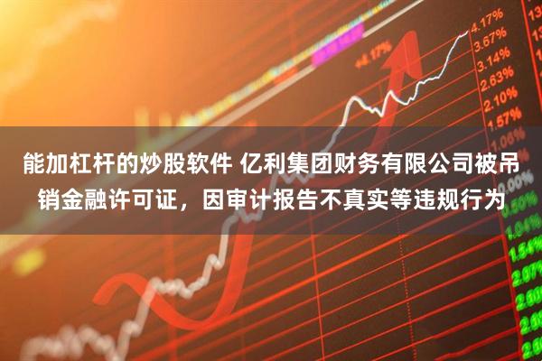 能加杠杆的炒股软件 亿利集团财务有限公司被吊销金融许可证，因审计报告不真实等违规行为