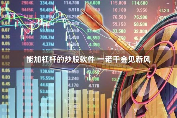 能加杠杆的炒股软件 一诺千金见新风