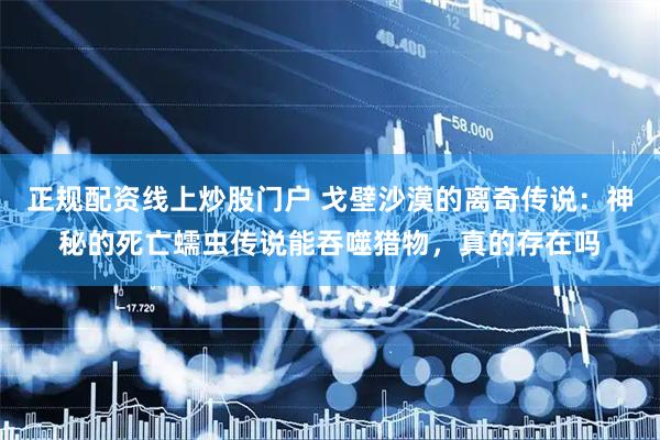 正规配资线上炒股门户 戈壁沙漠的离奇传说：神秘的死亡蠕虫传说能吞噬猎物，真的存在吗
